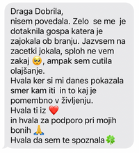 Naložite sliko v pregledovalnik galerije, Delavnica Moje čarobno leto
